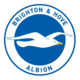 Λογότυπο Brighton & Hove Albion με γλάρο σε μπλε και λευκό φόντο